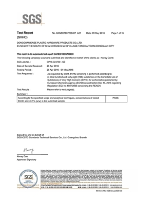 凯泽公司SGS蜂巢板RECAH168I项测试报告英文版